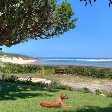 كينتون اون سي Milkwood Manor B & B المظهر الخارجي الصورة