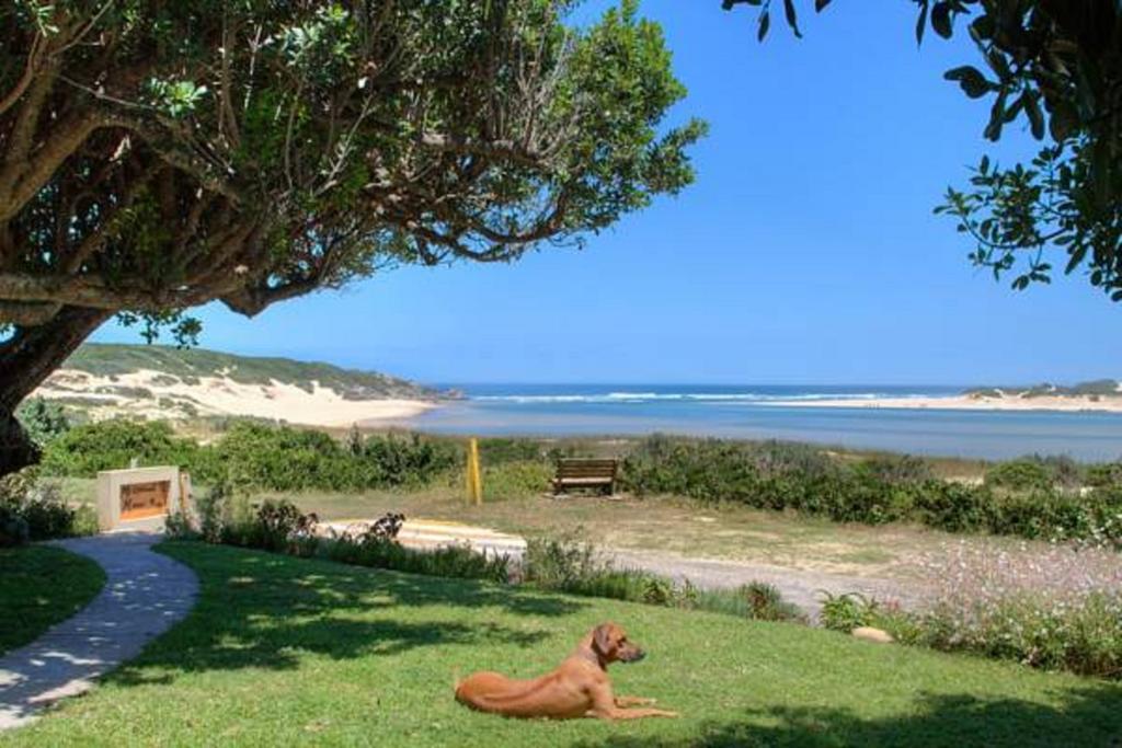 كينتون اون سي Milkwood Manor B & B المظهر الخارجي الصورة